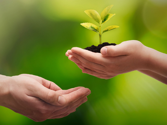 Net Zero and Carbon Neutrality standards are now for your Environmental Management Systems